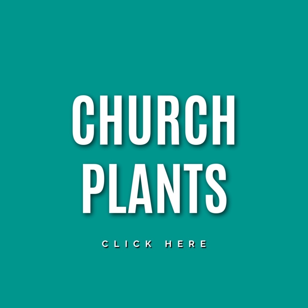 white and black lettering on teal background