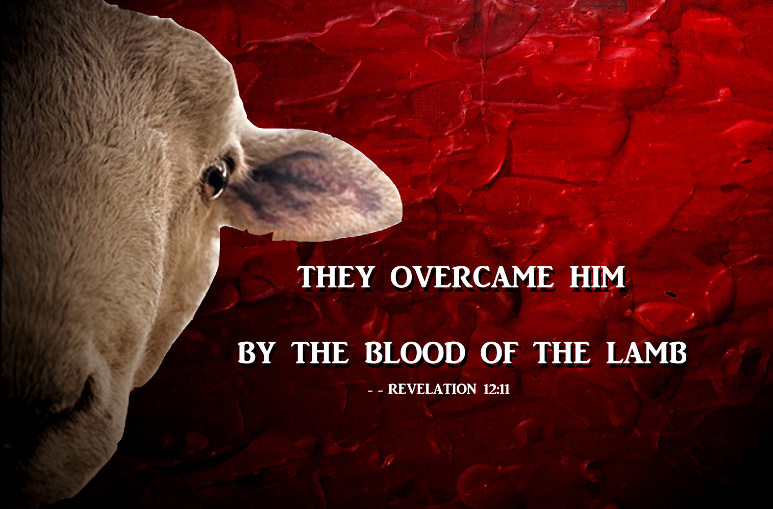 lamb with verse about blood of the lamb